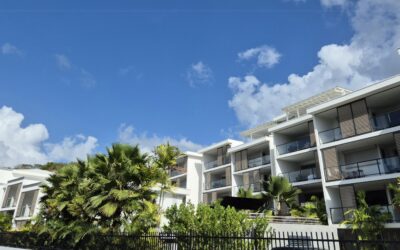 En quoi la Martinique est-elle une destination idéale pour les snowbirds ?