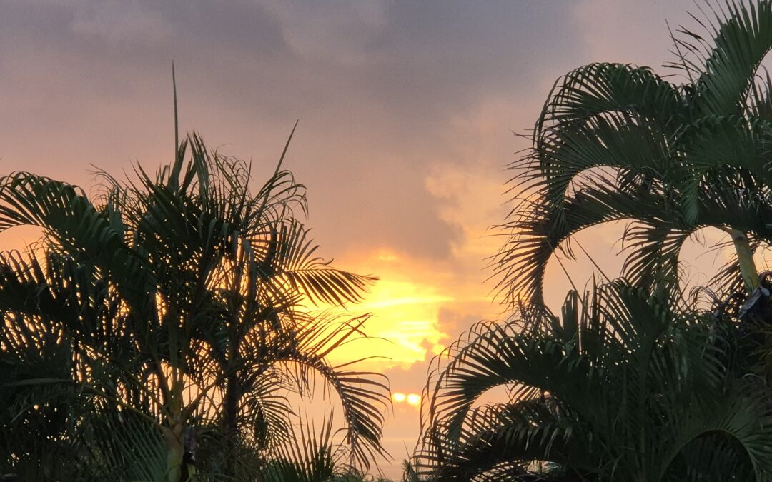 Martinique vs Malaga : 5 raisons de choisir la Martinique pour vos vacances d’hiver !