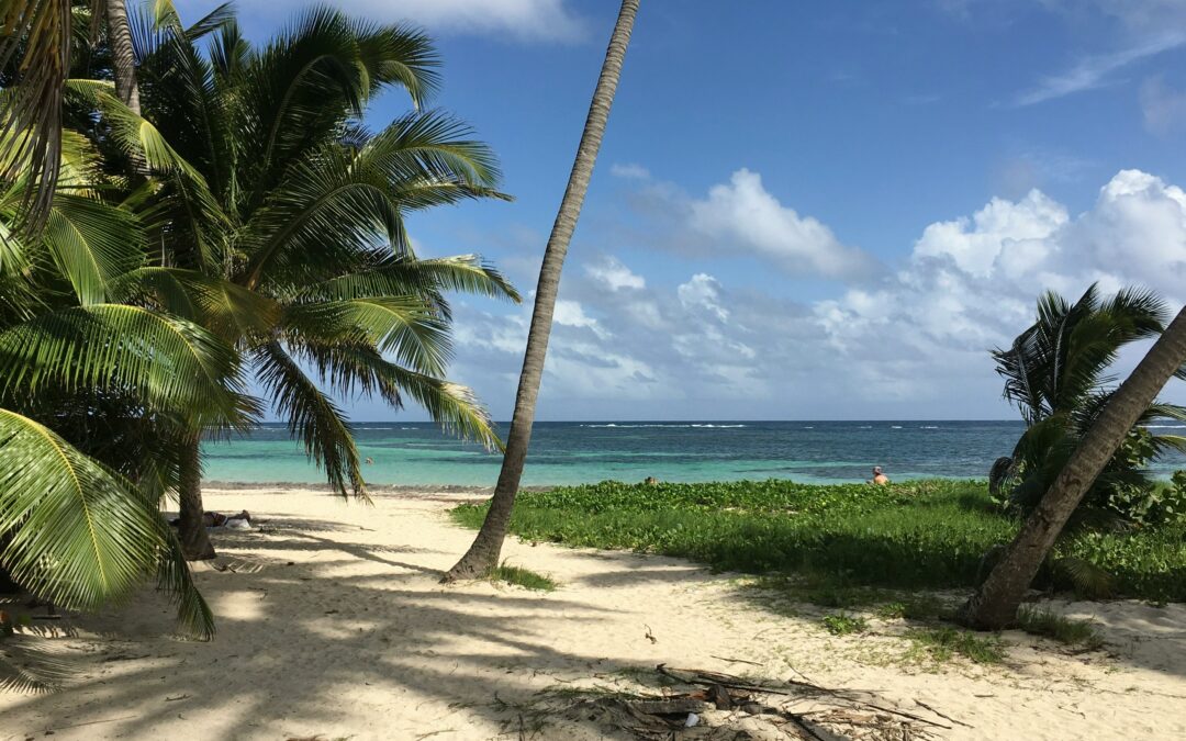 Exceptional promotions at Domaine de l’Anse Mitan : up to -20% on your vacation in Martinique!