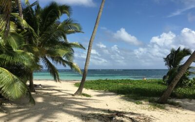 Des promotions exceptionnelles au Domaine de l’Anse Mitan : Jusqu’à -20% sur vos vacances en Martinique !